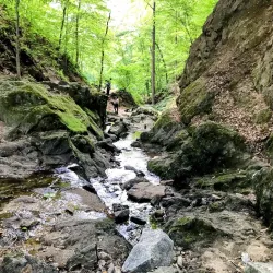 Trolley Line #9 Trail - Ellicott City