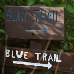 Trolley Line #9 Trail - Ellicott City