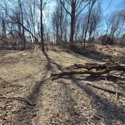 Trolley Line #9 Trail - Ellicott City