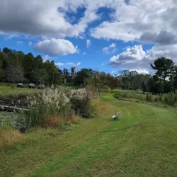 Harford Glen Environmental Education Center - Fallston