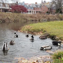 Baker Park - Frederick