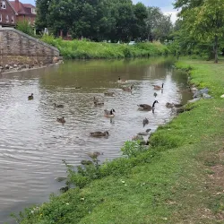 Baker Park - Frederick