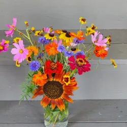 Toadshade Wildflower Farm - Frederick