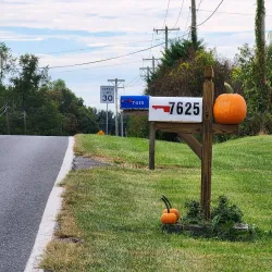 Toadshade Wildflower Farm - Frederick