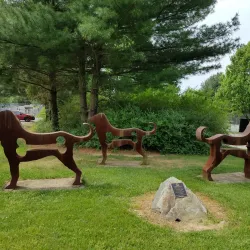 Kentlands Dog Park - Gaithersburg