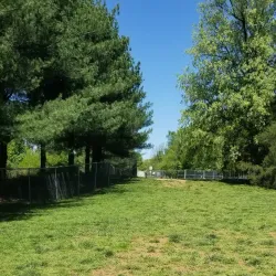 Kentlands Dog Park - Gaithersburg
