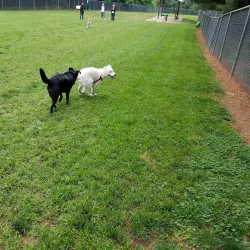 Kentlands Dog Park - Gaithersburg