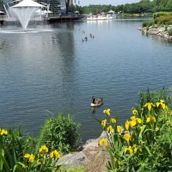 Rio Lakefront - Gaithersburg