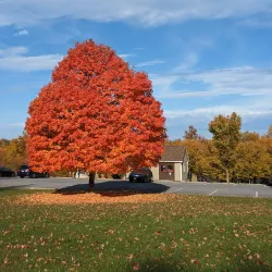 Black Hill Regional Park - Germantown