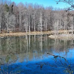 Black Hill Regional Park - Germantown