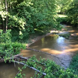 Great Seneca Stream Valley Park - Germantown