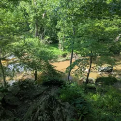 Great Seneca Stream Valley Park - Germantown