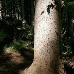 Great Seneca Stream Valley Park - Germantown