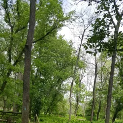 Great Seneca Stream Valley Park - Germantown