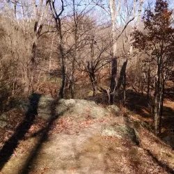Great Seneca Stream Valley Park - Germantown