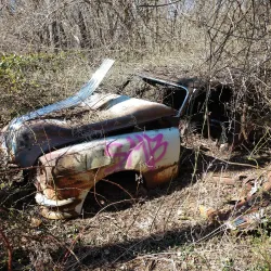 Great Seneca Stream Valley Park - Germantown
