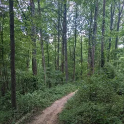 Great Seneca Stream Valley Park - Germantown