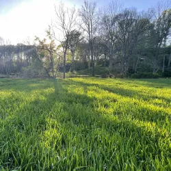 Great Seneca Stream Valley Park - Germantown