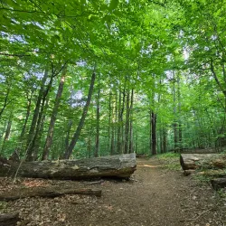 Gunpowder Falls State Park - Hunt Valley
