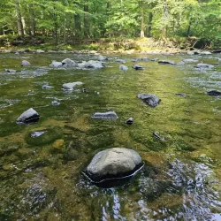 Gunpowder Falls State Park - Hunt Valley