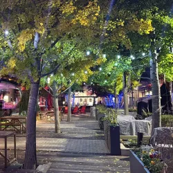 The Avenue at White Marsh - Hunt Valley