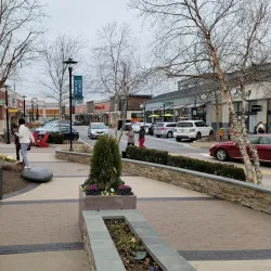 The Avenue at White Marsh - Hunt Valley