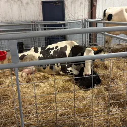 Timonium Fairgrounds - Hunt Valley