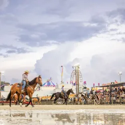Timonium Fairgrounds - Hunt Valley