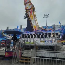 Timonium Fairgrounds - Hunt Valley