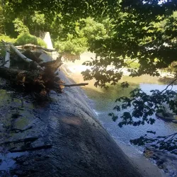 Northwest Branch Trail - Hyattsville