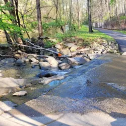Northwest Branch Trail - Hyattsville
