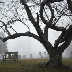 Downtown La Plata - La Plata