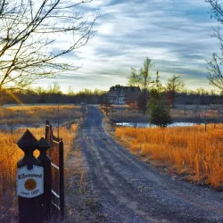Downtown La Plata - La Plata