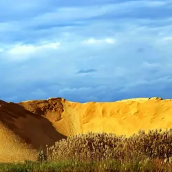 Downtown La Plata - La Plata