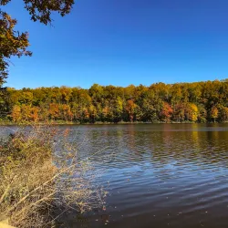 Gilbert Run Park - La Plata