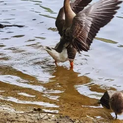 Gilbert Run Park - La Plata