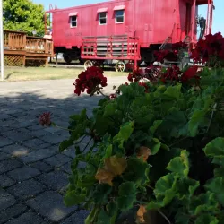 La Plata Train Station - La Plata