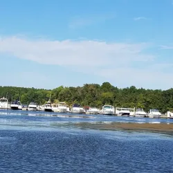 Smallwood State Park - La Plata