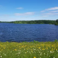St. Mary's River State Park - Lexington Park