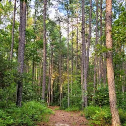 St. Mary's River State Park - Lexington Park