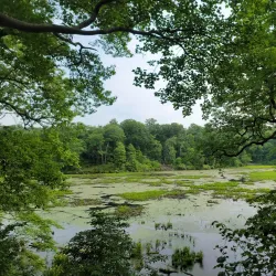 Elk Neck State Park - North East