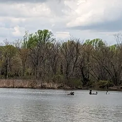 North East Community Park - North East