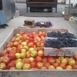 North East Farmers Market - North East