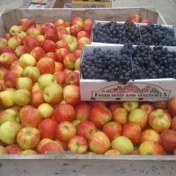 North East Farmers Market - North East