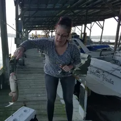 North East Marina - North East