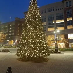 Baltimore County Public Library - Owings Mills Branch - Owings Mills