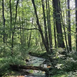 Liberty Reservoir - Owings Mills