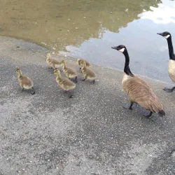 Liberty Reservoir - Owings Mills