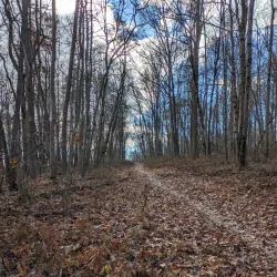 Liberty Reservoir - Owings Mills