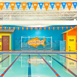 Owings Mills Swim Center - Owings Mills